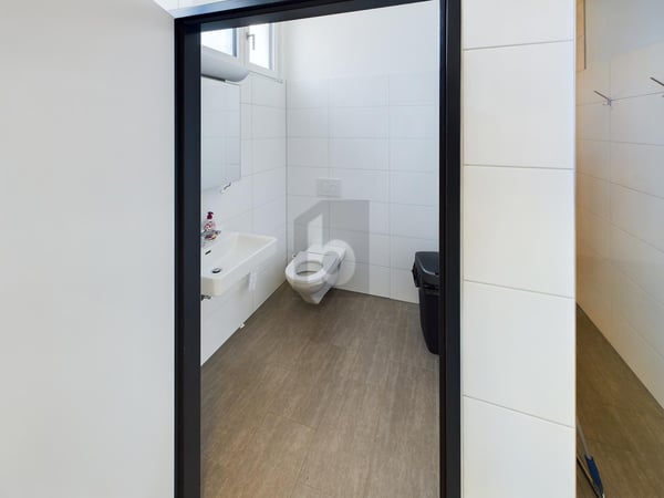 MODERN UND LICHTDURCHFLUTET 5