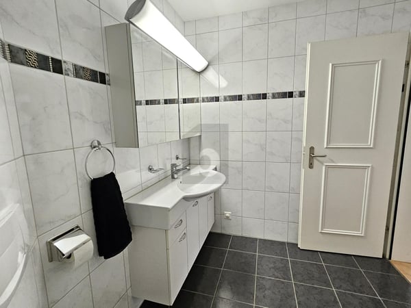 TRAUMHAFTE SICHT ÜBER DAS LIMMATTAL 5