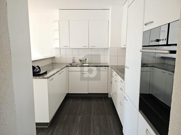 TRAUMHAFTE SICHT ÜBER DAS LIMMATTAL 3