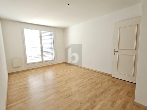 TRAUMHAFTE SICHT ÜBER DAS LIMMATTAL 4