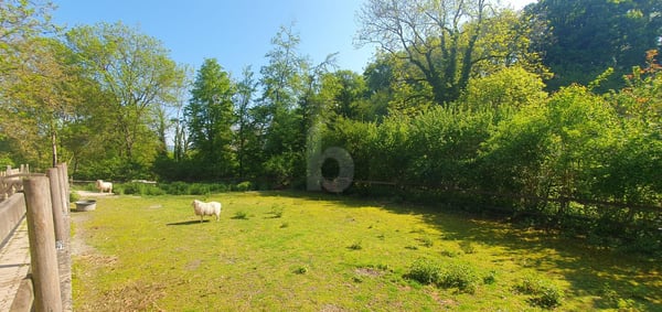 DANS UN ÉCRIN DE NATURE AVEC ECURIES ! 3