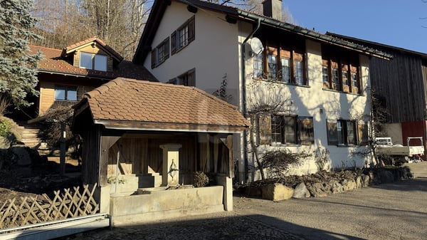 RUSTIKAL INMITTEN DER BERGE 1