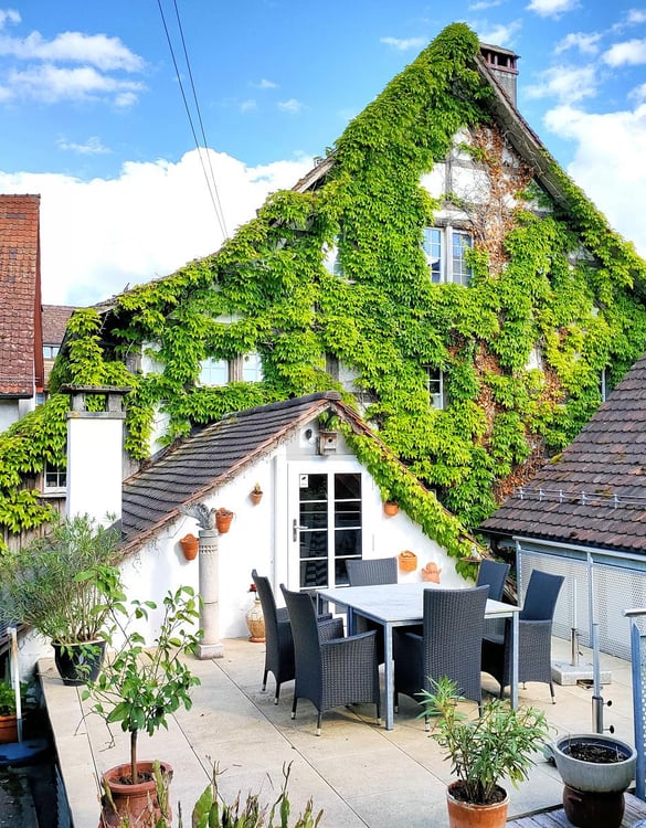 KOMPLETT MÖBLIERT MIT SONNENTERRASSE UND GARTEN 5