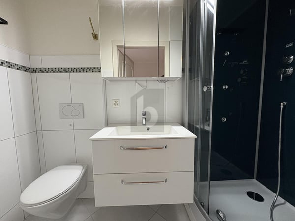 AUSSERGEWÖHNLICHE RENDITE AN ZENTRALER LAGE 4