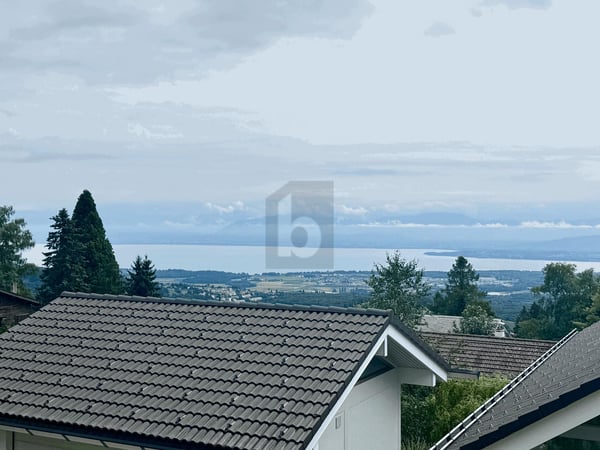 SPACIEUSE VILLA AU CALME ET VUE LAC 3