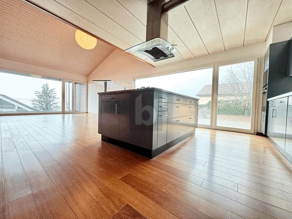 SPACIEUSE VILLA AU CALME ET VUE LAC 1