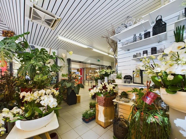 CLIENTÈLE FIDÉLISÉE ET EXCELLENTE OPPORTUNITÉ 3