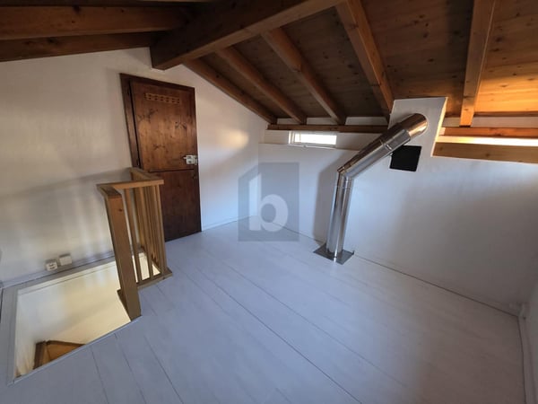 GRAZIOSA E MODERNA CON GIARDINO 4