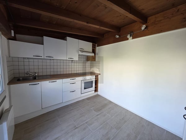 GRAZIOSA E MODERNA CON GIARDINO 3