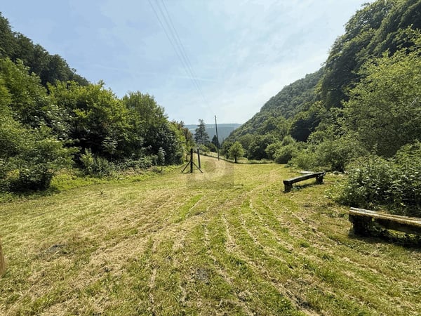 AMOUREUX DE LA NATURE 4