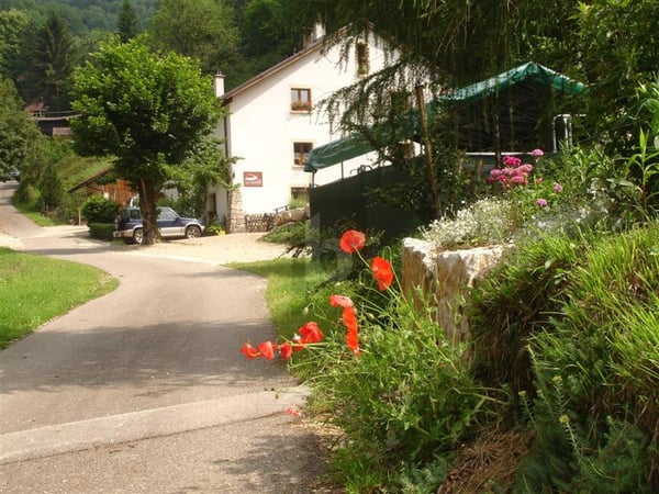 AMOUREUX DE LA NATURE 3