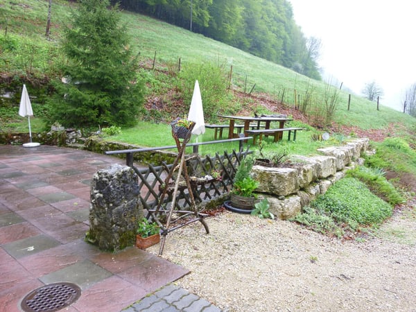 AMOUREUX DE LA NATURE 2