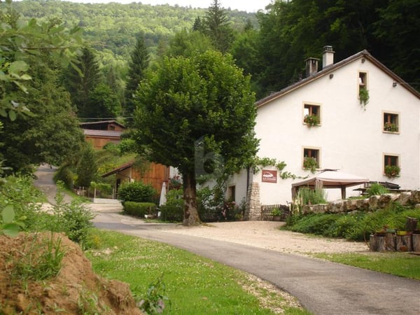 AMOUREUX DE LA NATURE 1