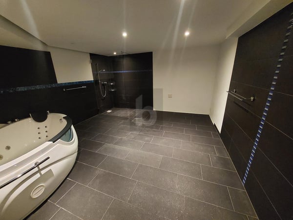 MIT WELLNESSOASE UND GROSSER TERRASSE 2