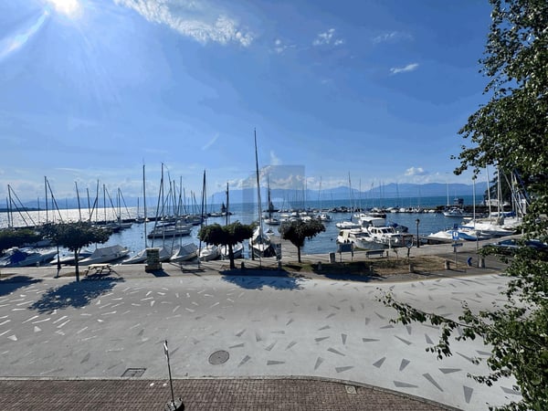 SITUATION EXCEPTIONNELLE AU BORD DU LAC 2