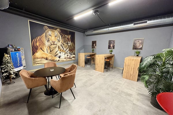 GROSSE UND ATTRAKTIVE FLÄCHE 2