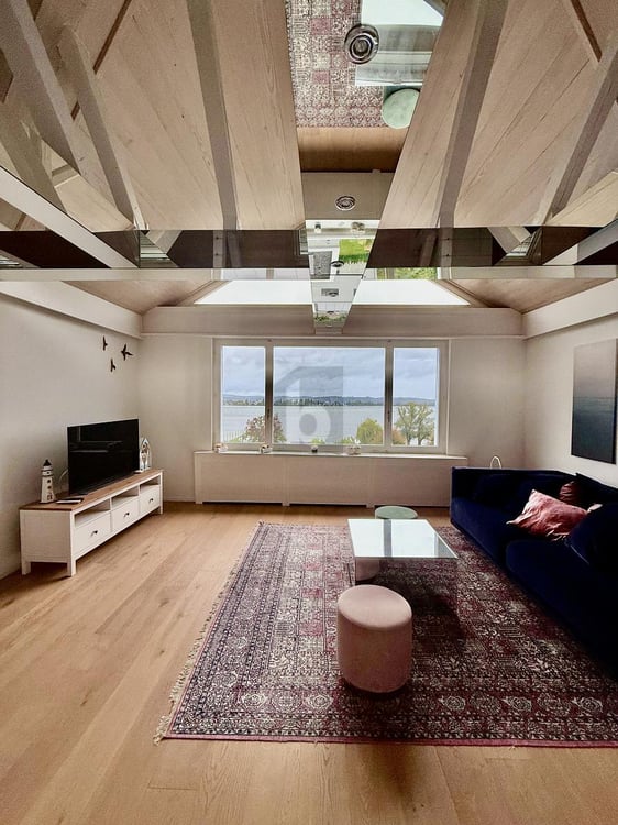 PANORAMABLICK ZUM BODENSEE 1