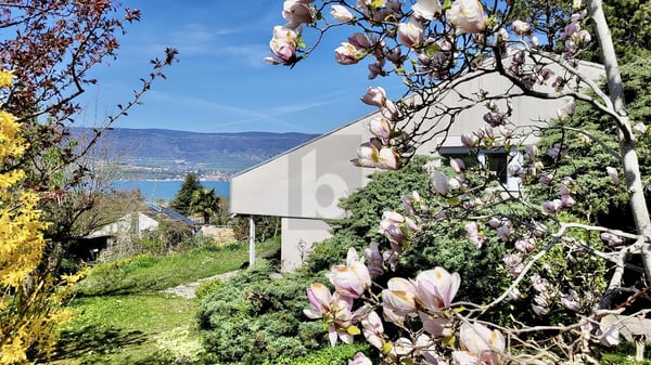 MAGNIFIQUE DANS UN ENVIRONNEMENT PAISIBLE 1