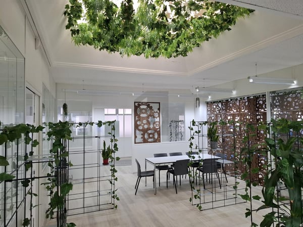 SPACIEUX ET LUMINEUX 4