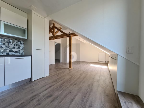 BEAU CACHET LUMINEUX ET SPACIEUX 4