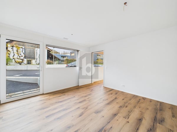 NEUBAU, HELL UND MODERN IM DORFKERN 4