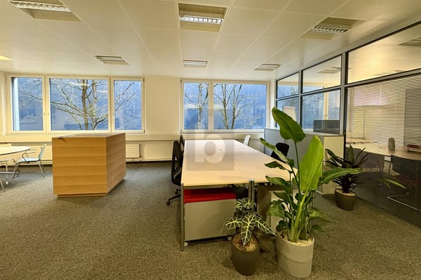 REPRÄSENTATIV UND VIELSEITIG NUTZBAR 1