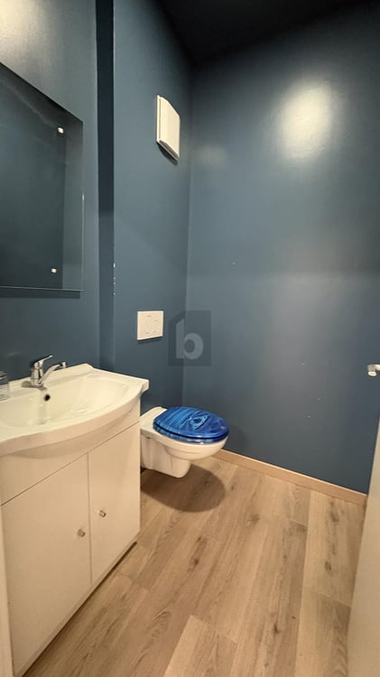 EMPALCEMENT IDÉAL AU CENTRE VILLE 5