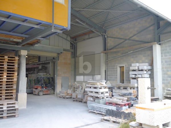 HALLE RARE, PRO ET STRATÉGIQUE 3