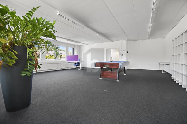 REPRÄSENTATIV UND VIELSEITIG NUTZBAR 2