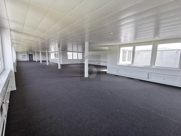 GROSSZÜGIG, HELL UND AN GUTER LAGE 3