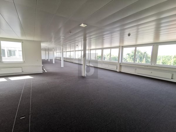 GROSSZÜGIG, HELL UND AN GUTER LAGE 2