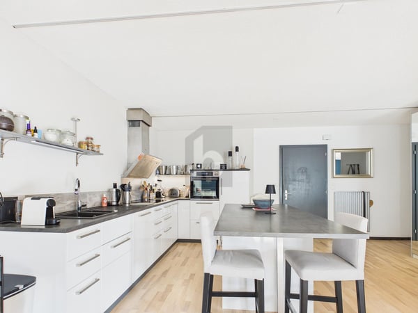 ENTIÈREMENT RÉNOVÉ ET DANS UN QUARTIER CALME 3