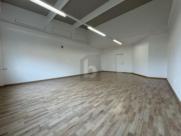 MODERNE - SPACIEUX ET LUMINEUX AU DERNIER ÉTAGE 5