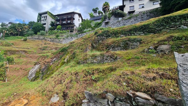 SOLEGGIATO E TRANQUILLO CON VISTA 5