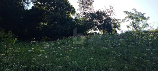 TERRENO EDIFICABILE CON VISTA APERTA 4