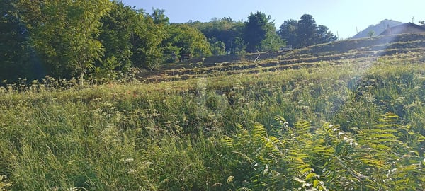 TERRENO EDIFICABILE CON VISTA APERTA 2