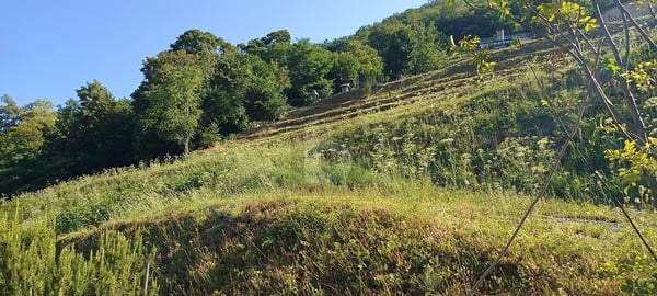 TERRENO EDIFICABILE CON VISTA APERTA 3