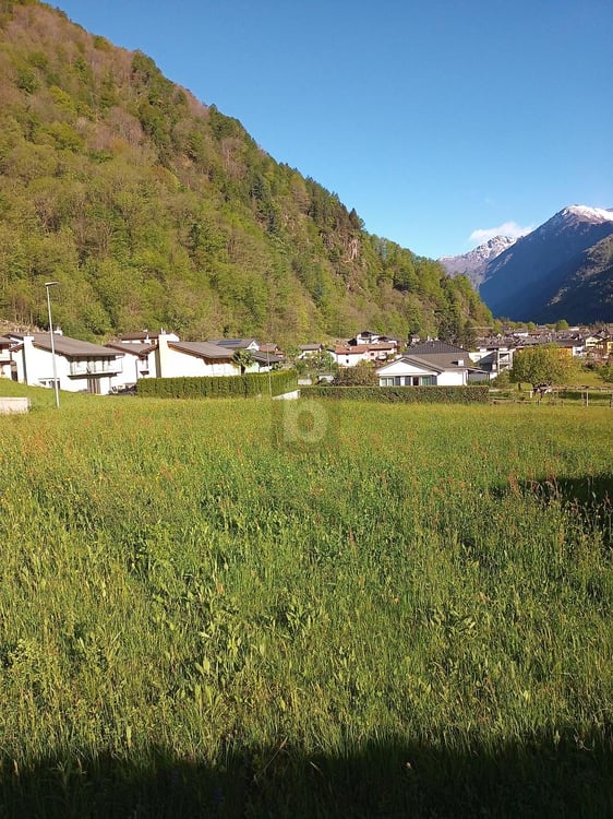BAULAND AM ENDE DES DORFES, MIT SCHÖNER AUSSICHT 3