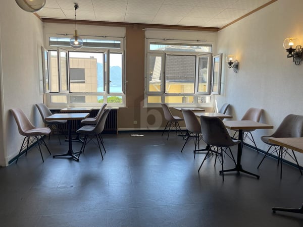 CENTRAL AVEC VUE SUR LE LAC 3