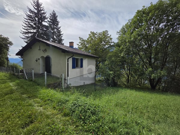 SOLEGGIATA IN POSIZIONE TRANQUILLA TRA LA NATURA 2