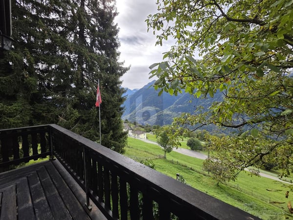 SOLEGGIATA IN POSIZIONE TRANQUILLA TRA LA NATURA 4