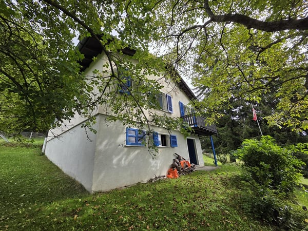 SOLEGGIATA IN POSIZIONE TRANQUILLA TRA LA NATURA 3