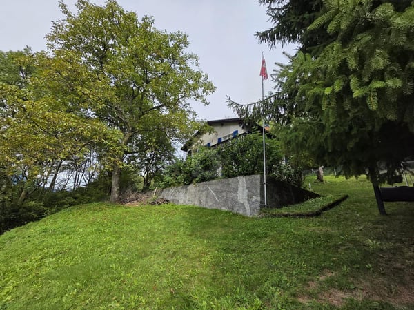 SOLEGGIATA IN POSIZIONE TRANQUILLA TRA LA NATURA 1