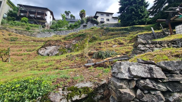 TRANQUILLO E SOLEGGIATO CON VISTA 2