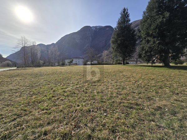 AMPIO E SOLEGGIATO IN POSIZIONE TRANQUILLA 2