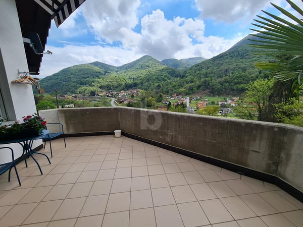 SPAZIOSA E SOLEGGIATO CON TERRENO 1