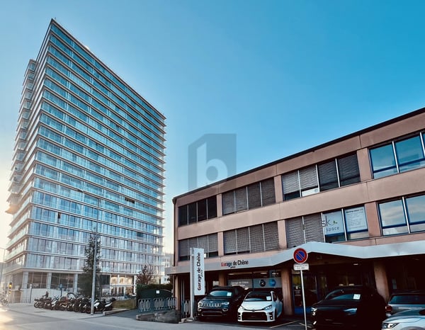 ATELIER LUMINEUX ET CONFORTABLE À CHÊNE-BOURG 1