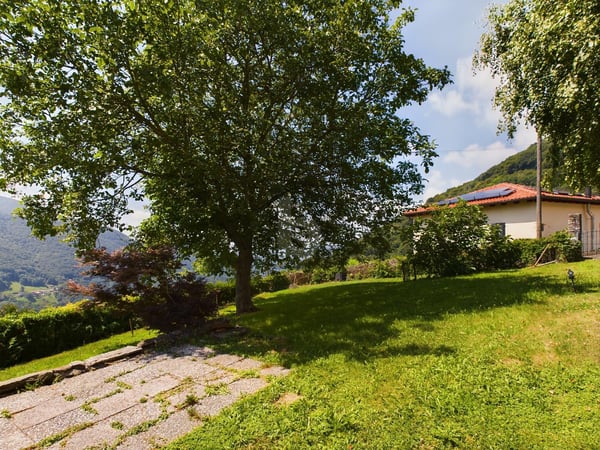 SOLEGGIATA CON AMPIO GIARDINO 1