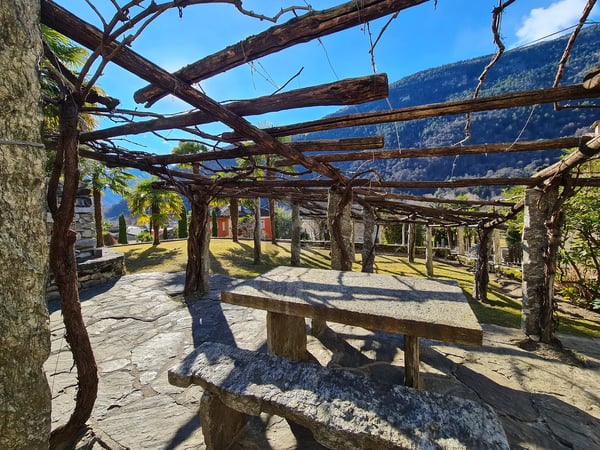 MERAVIGLIOSA TRA IL SOLE E LA NATURA 3