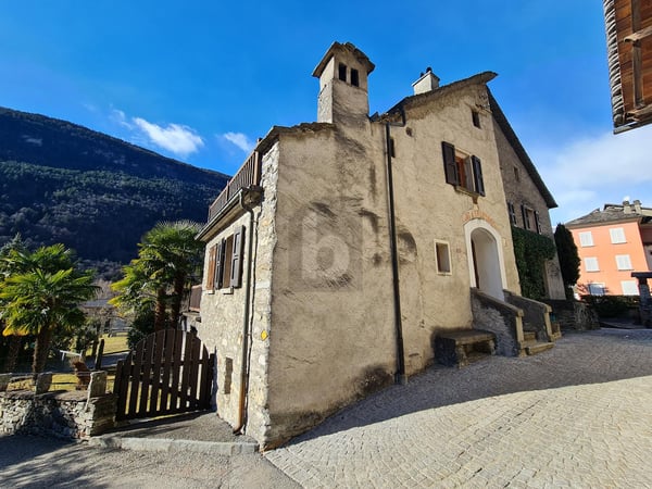 MERAVIGLIOSA TRA IL SOLE E LA NATURA 4